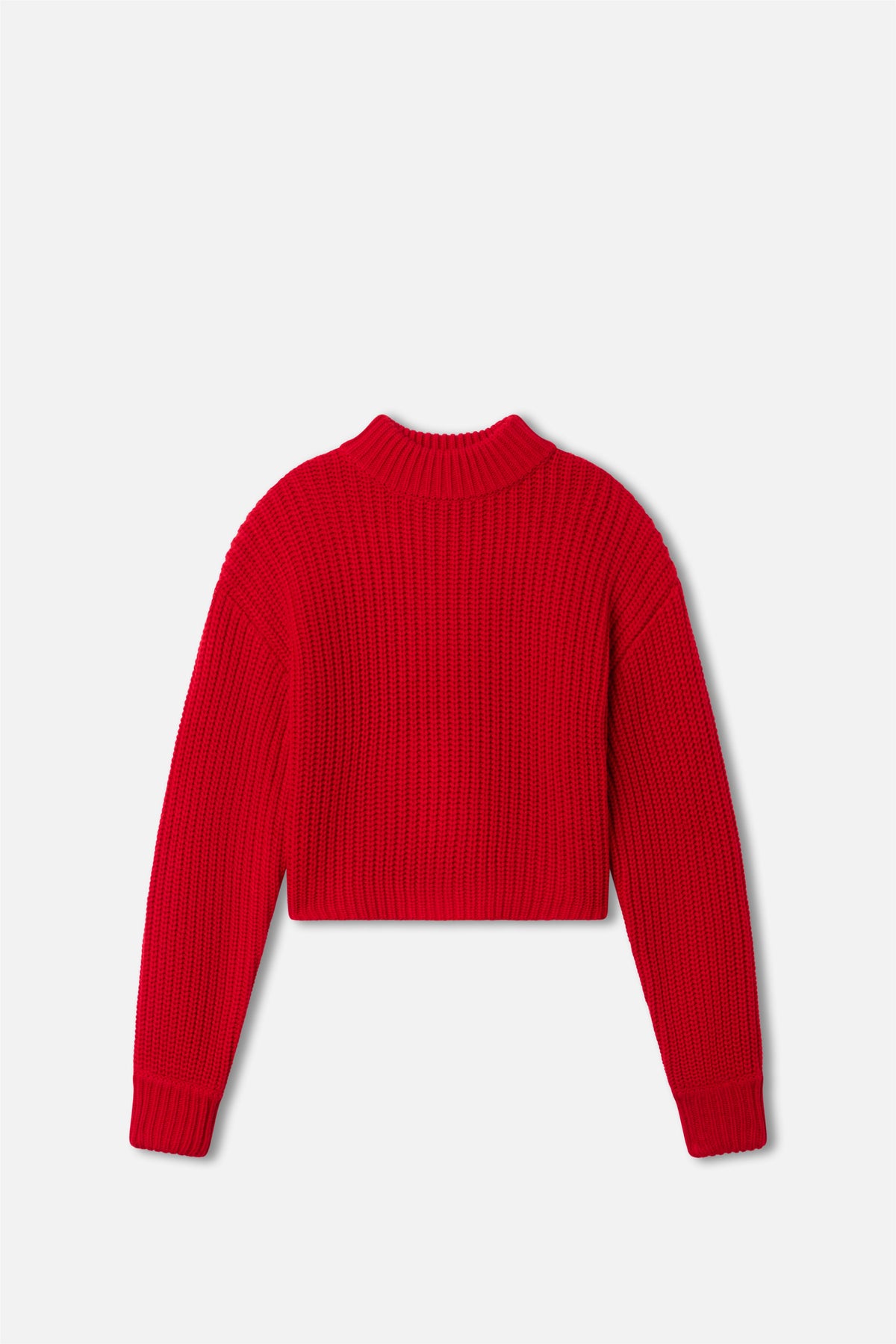 Chunky Knit Mock Neck Sweater in Chili001